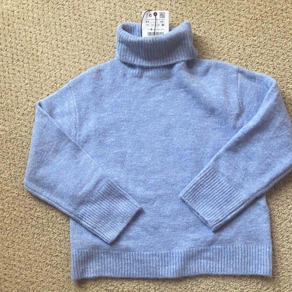 Zara Soft Blue Turtleneck Sweater